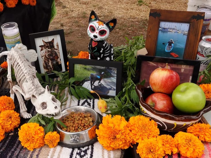 Preparan “Mega Altar” para mascotas en el Bosque de la Ciudad