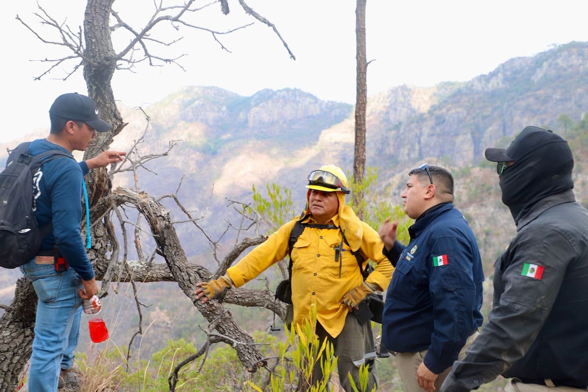 Foto: Protección Civil Sonora.