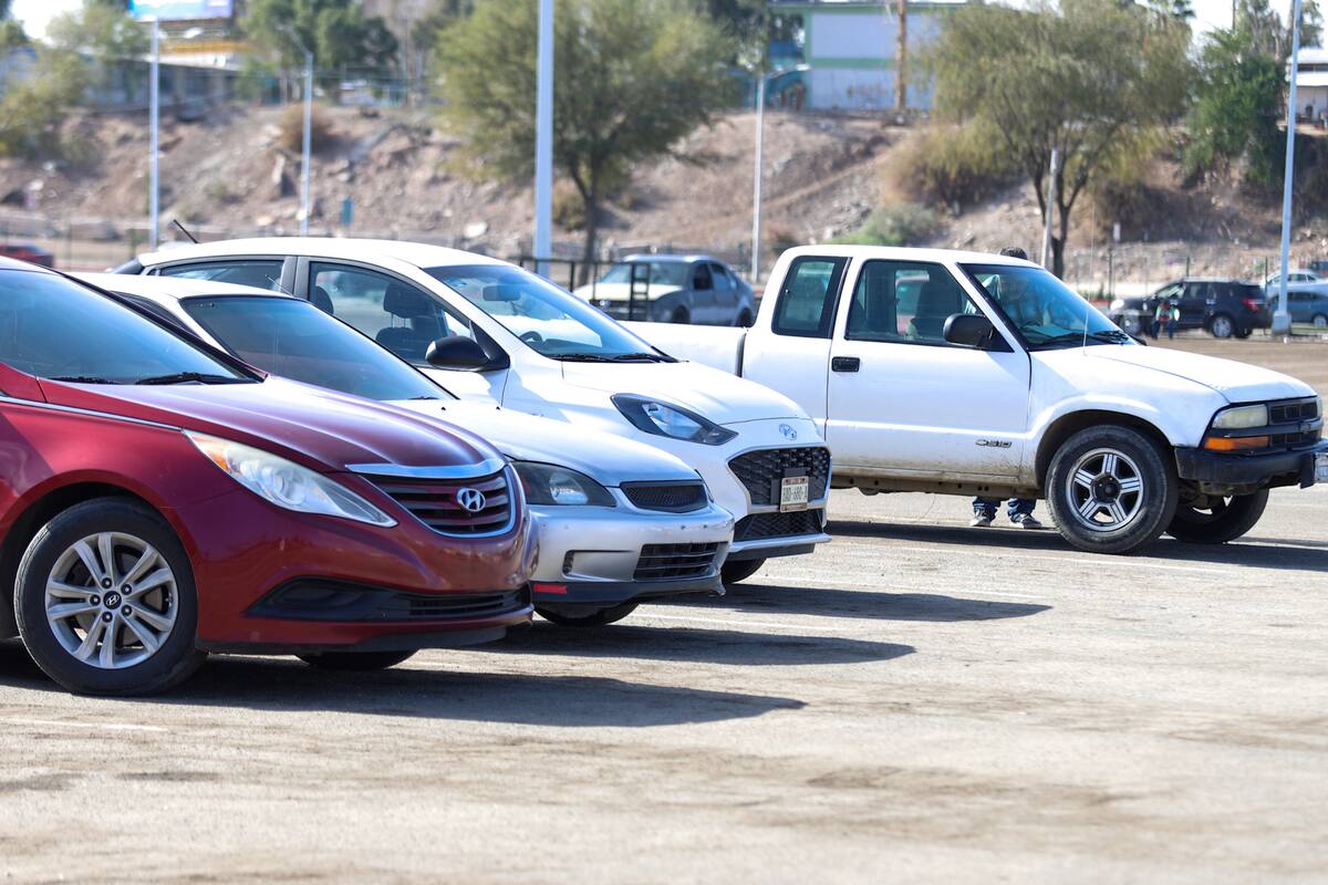 Revalidan placas el 70% de los regularizados