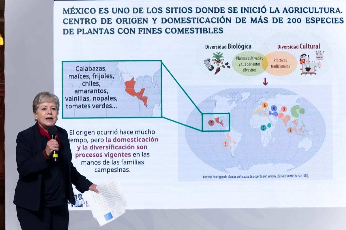 La titular de la Secretaria de Medio Ambiente, Alicia Bárcena, en la 'Conferencia del Pueblo' de la presidenta Claudia Sheinbaum. | Crédito: Presidencia