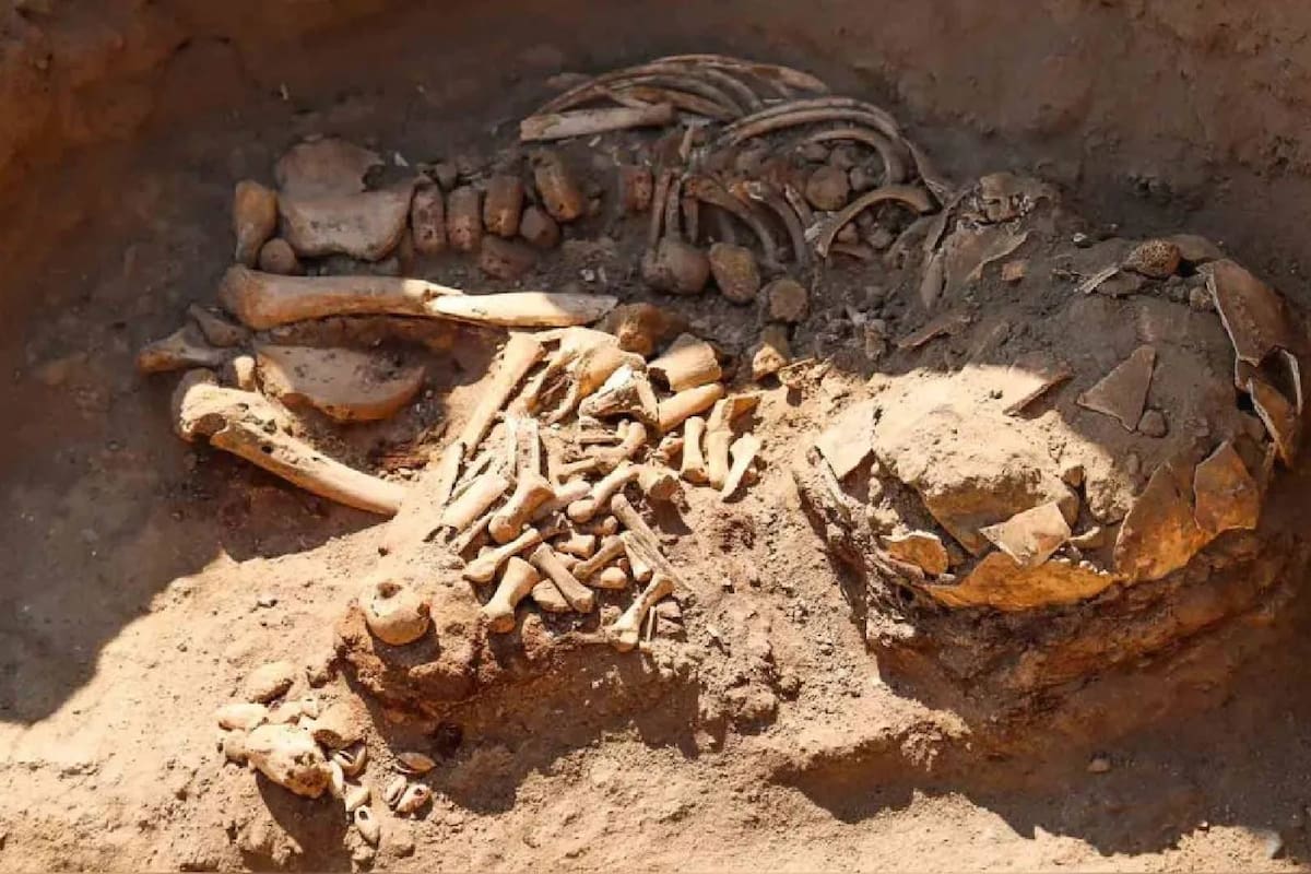 Arqueólogos descubren restos humanos de 3 mil 800 años en Perú