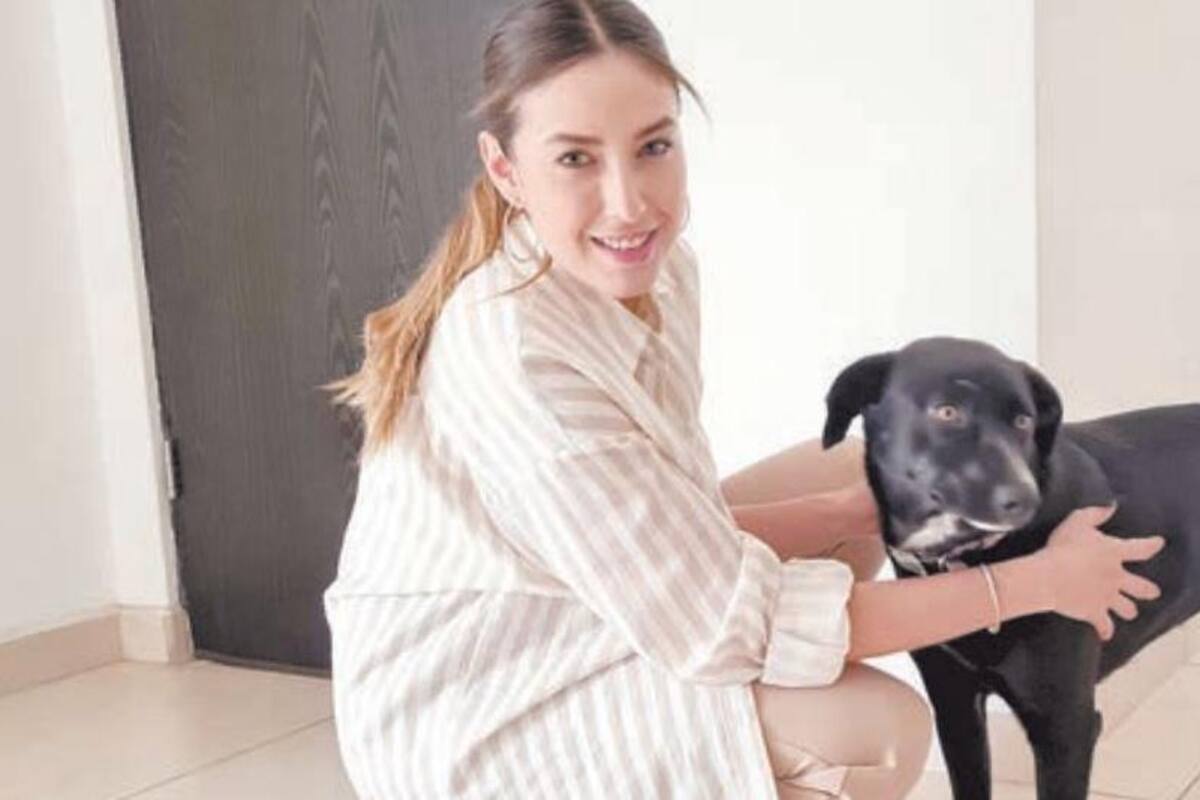 Sofía mezcla recetas y redes sociales para rescatar perritos callejeros