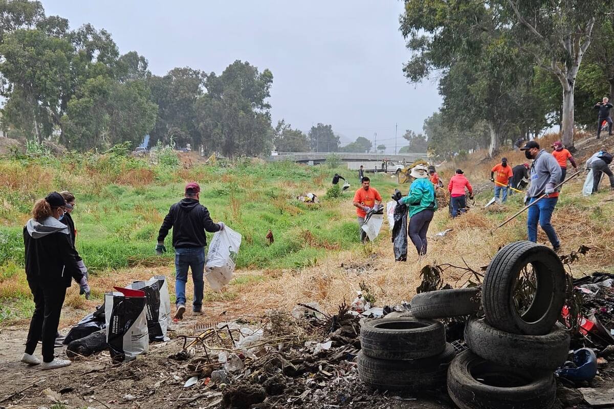 Burócratas realizan jornada de limpieza en arroyo Ensenada