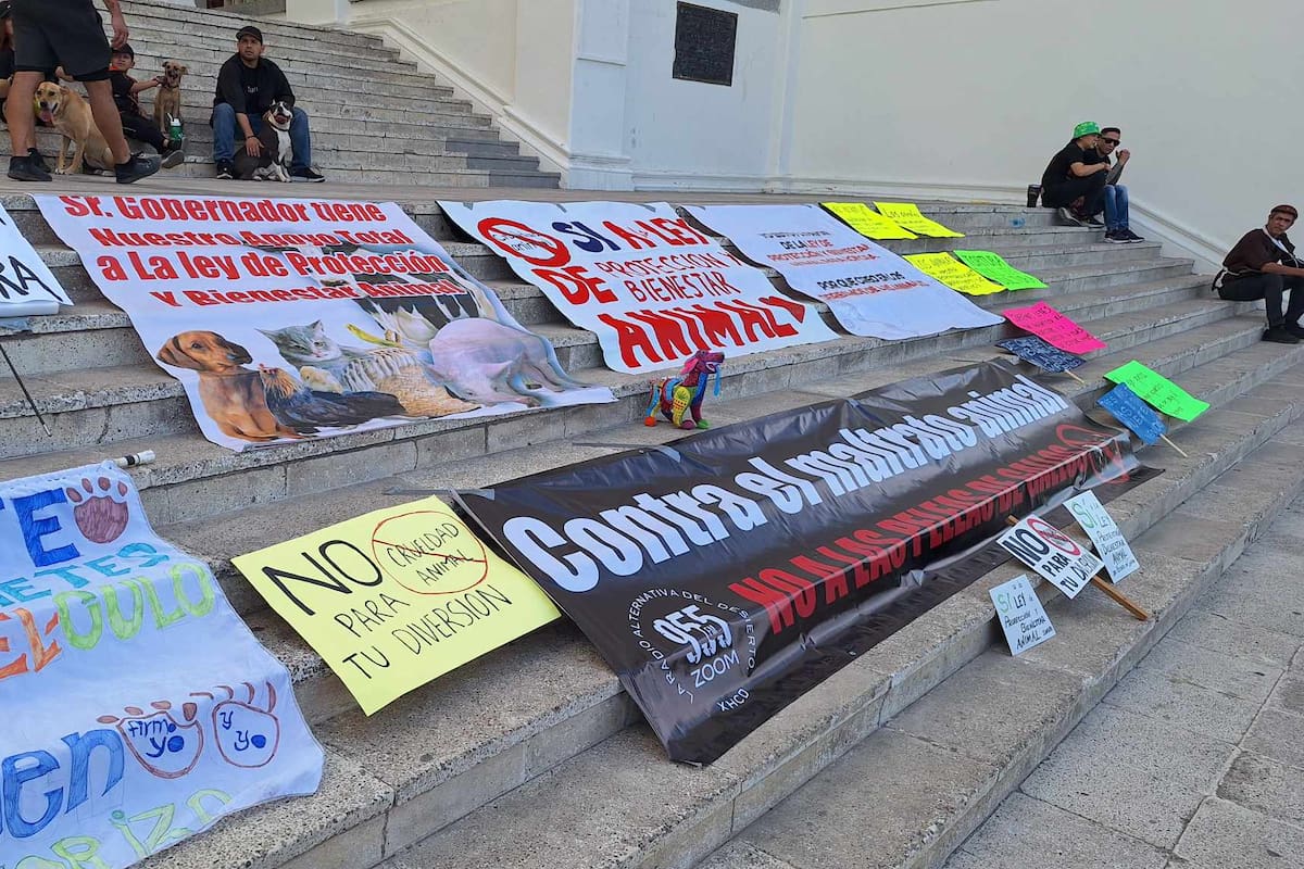 Activistas de Hermosillo se manifiestan a favor de la Ley de Protección y Bienestar Animal