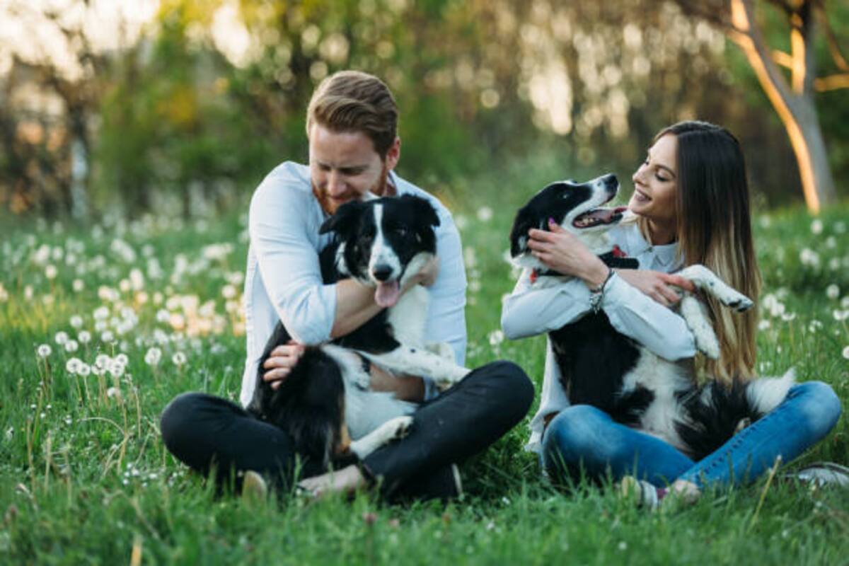 El impacto positivo de las mascotas en la salud mental: Secretaría de Salud