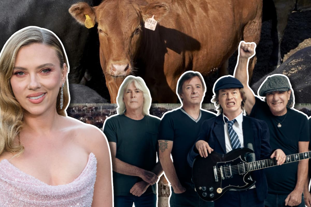 La voz de Scarlett Johansson y AC/DC ayuda a proteger el ganado de los ataques de lobos en EE.UU.