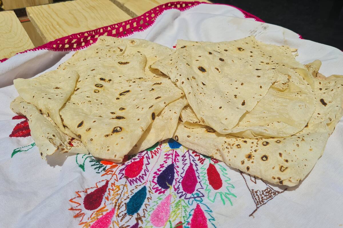 Abuela busca apoyo para vender tortillas y sacar adelante a sus 6 nietos