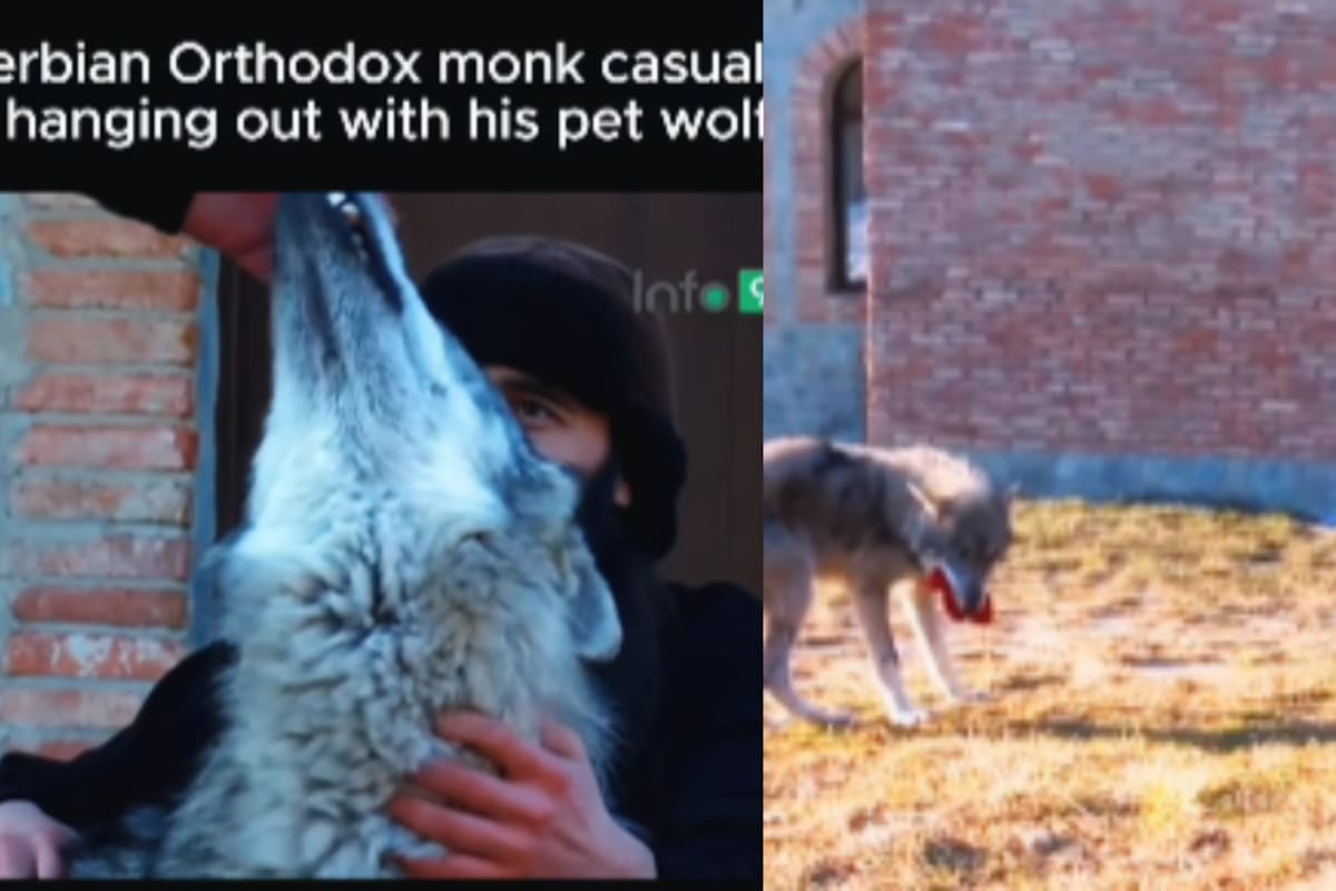 Monje ortodoxo causa sensación en redes por tener un lobo como mascota