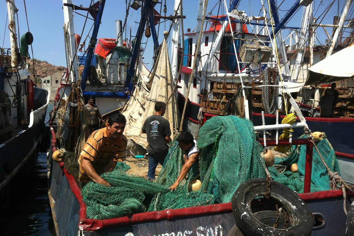 ¡Salen los primeros barcos al camarón! Se van vía lastre