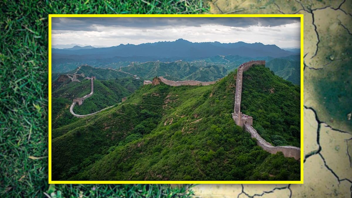 La nueva Gran Muralla de China: Así están transformando los desiertos en bosques. FOTO: Especial