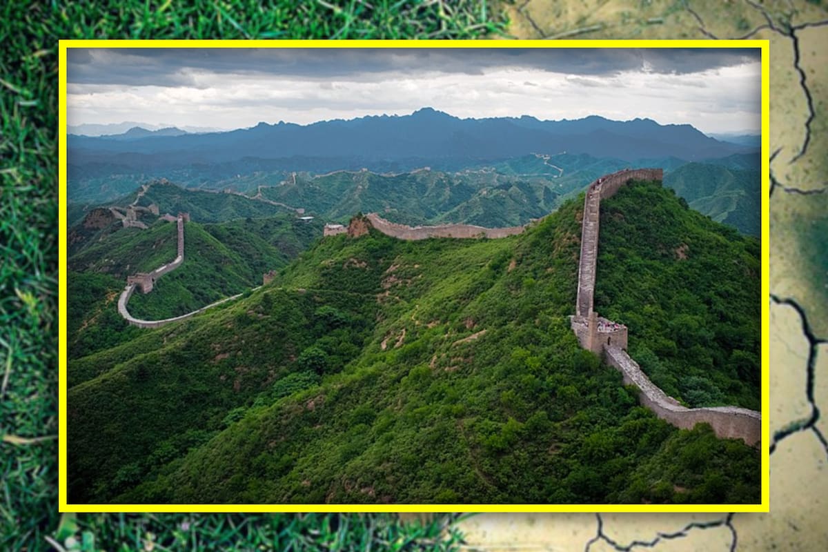 La nueva Gran Muralla de China: Así están TRANSFORMANDO los desiertos en un megabosque de tierra fértil