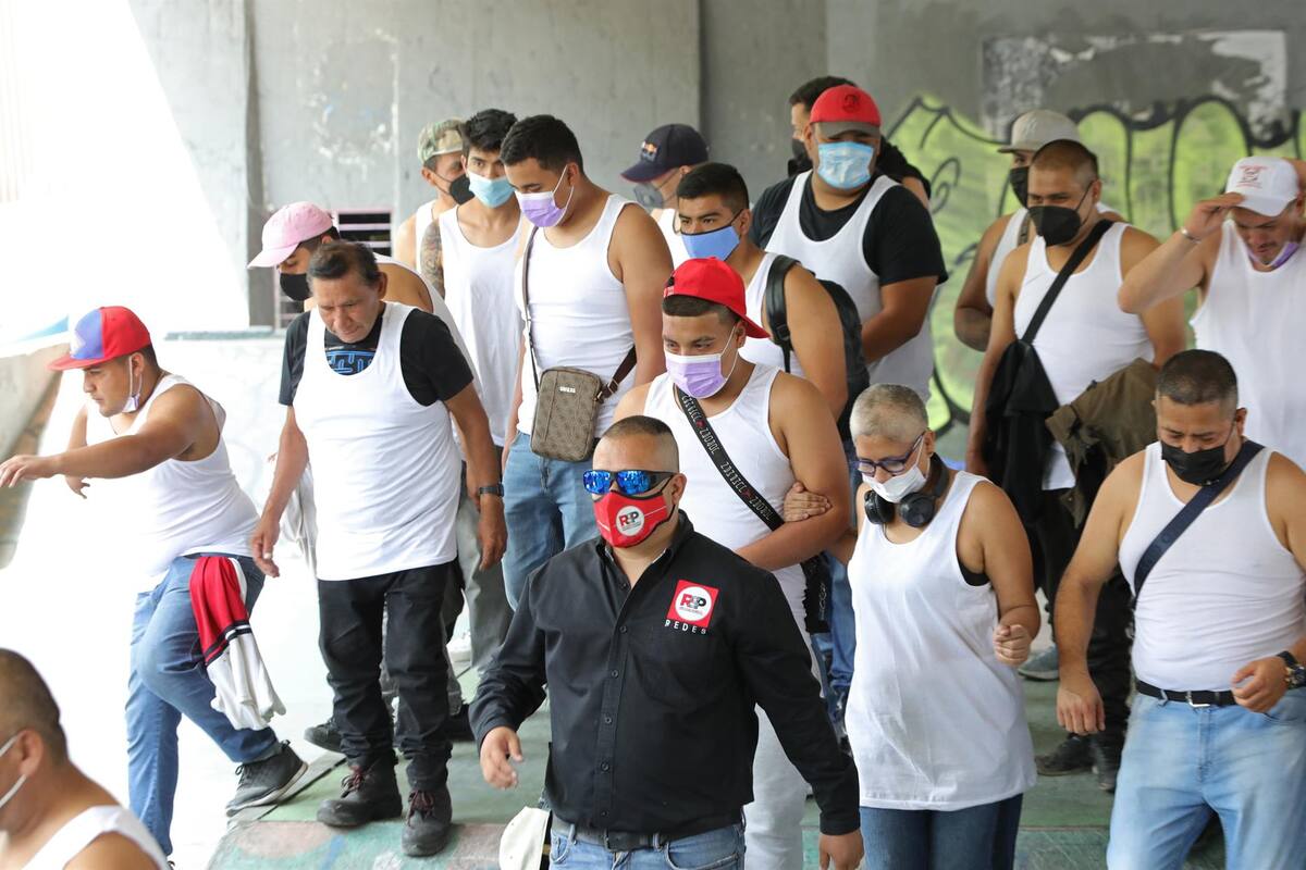 Mastines: la “autodefensa electoral” del partido RSP