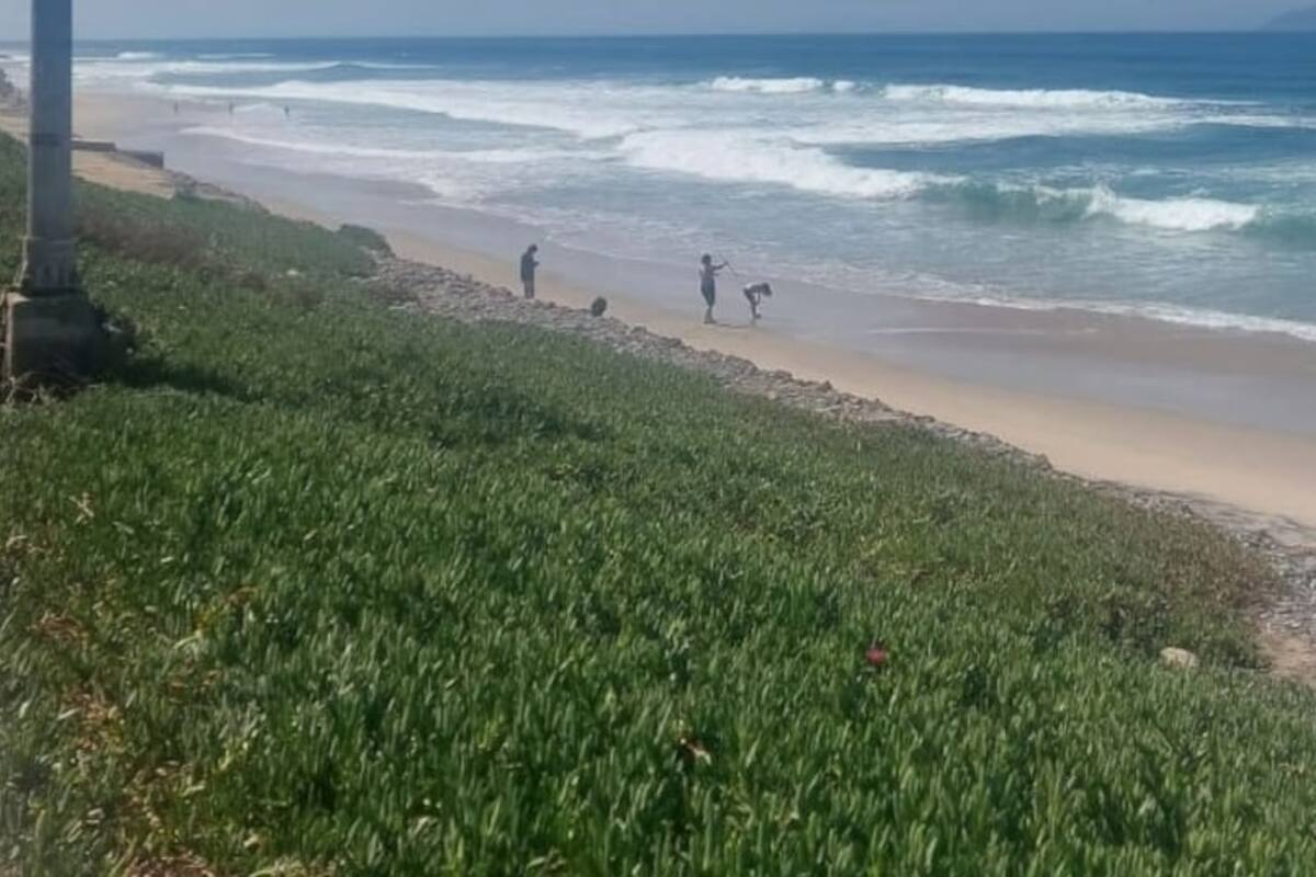 No aptas mayoría de las playas de Tijuana