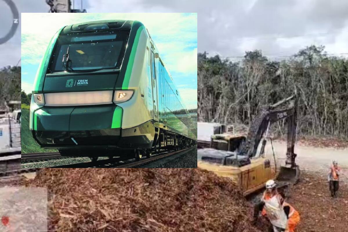 Retienen trabajadores del Tren Maya a activistas con evidencia de daño ambiental en QR