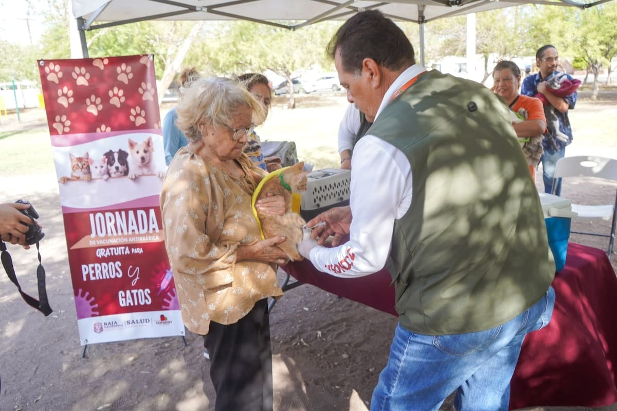 Acercan servicios de salud a comunidades de Baja California e impulsan vacunación para mascotas en los 7 municipios