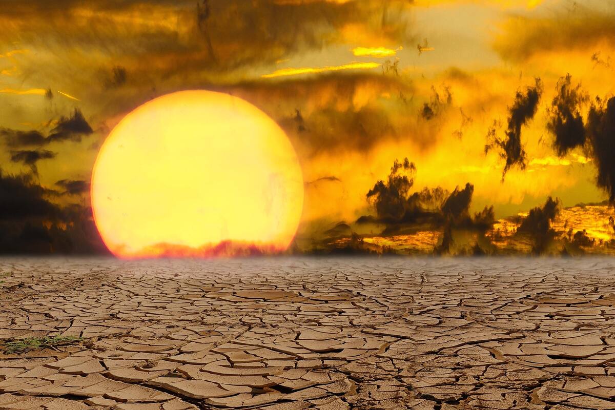 El calor provocaría más muertes que la enfermedades infecciosas según estudio