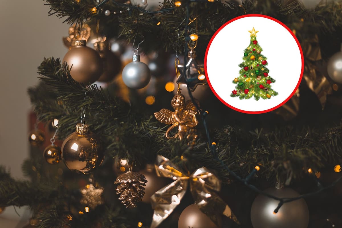 Cómo elegir el árbol de Navidad perfecto: guía de espacio, altura y frondosidad