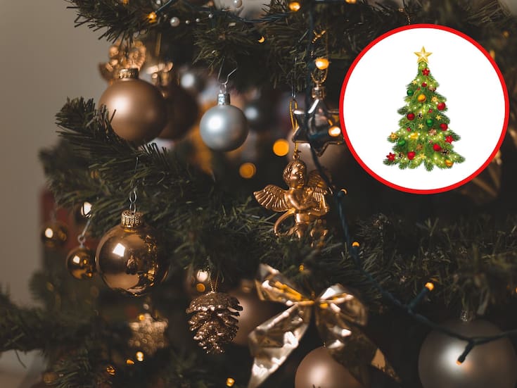 Cómo elegir el árbol de Navidad perfecto: guía de espacio, altura y frondosidad