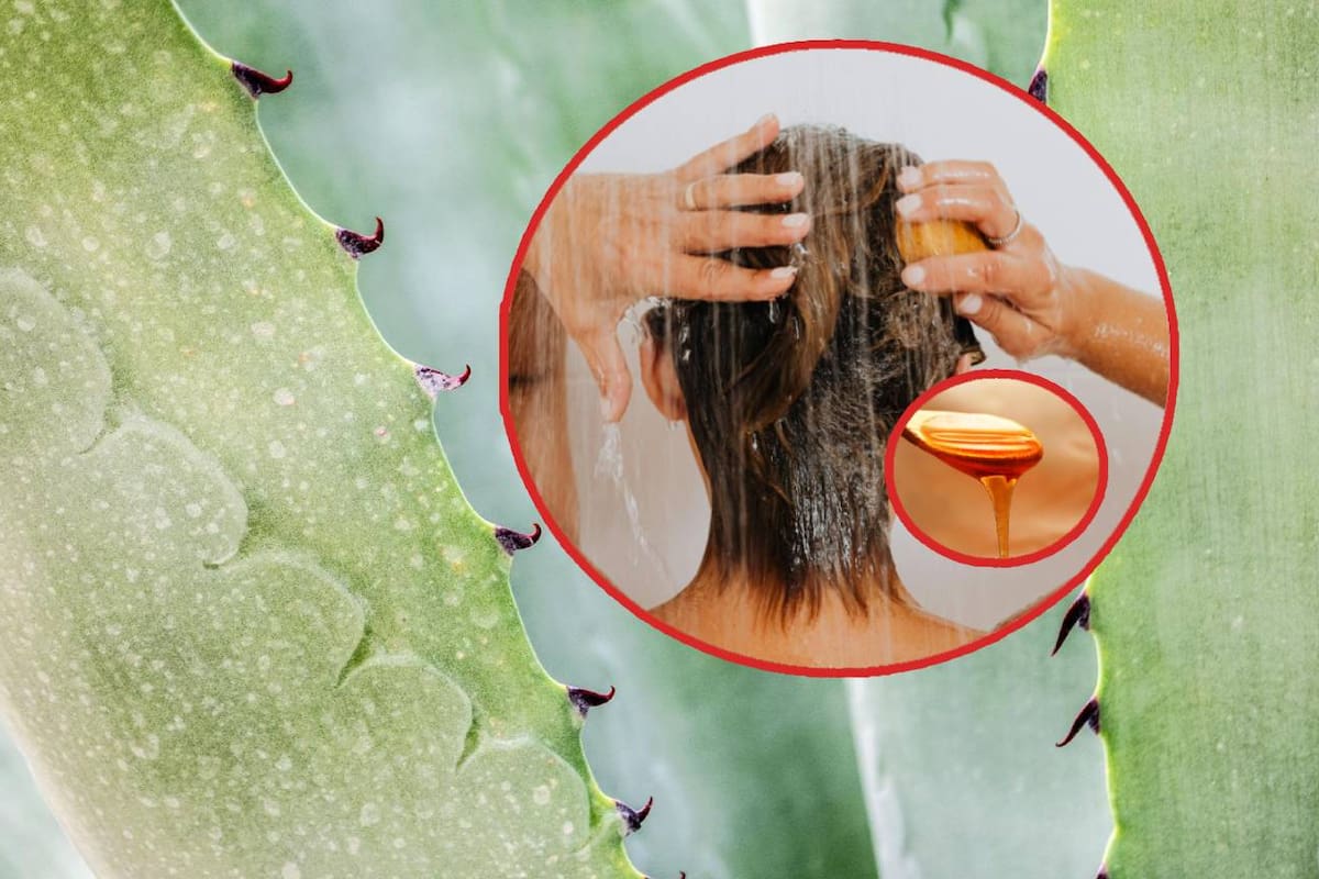 ¿Cabello reseco? Toma nota de esta mascarilla de sábila y miel para hidratar