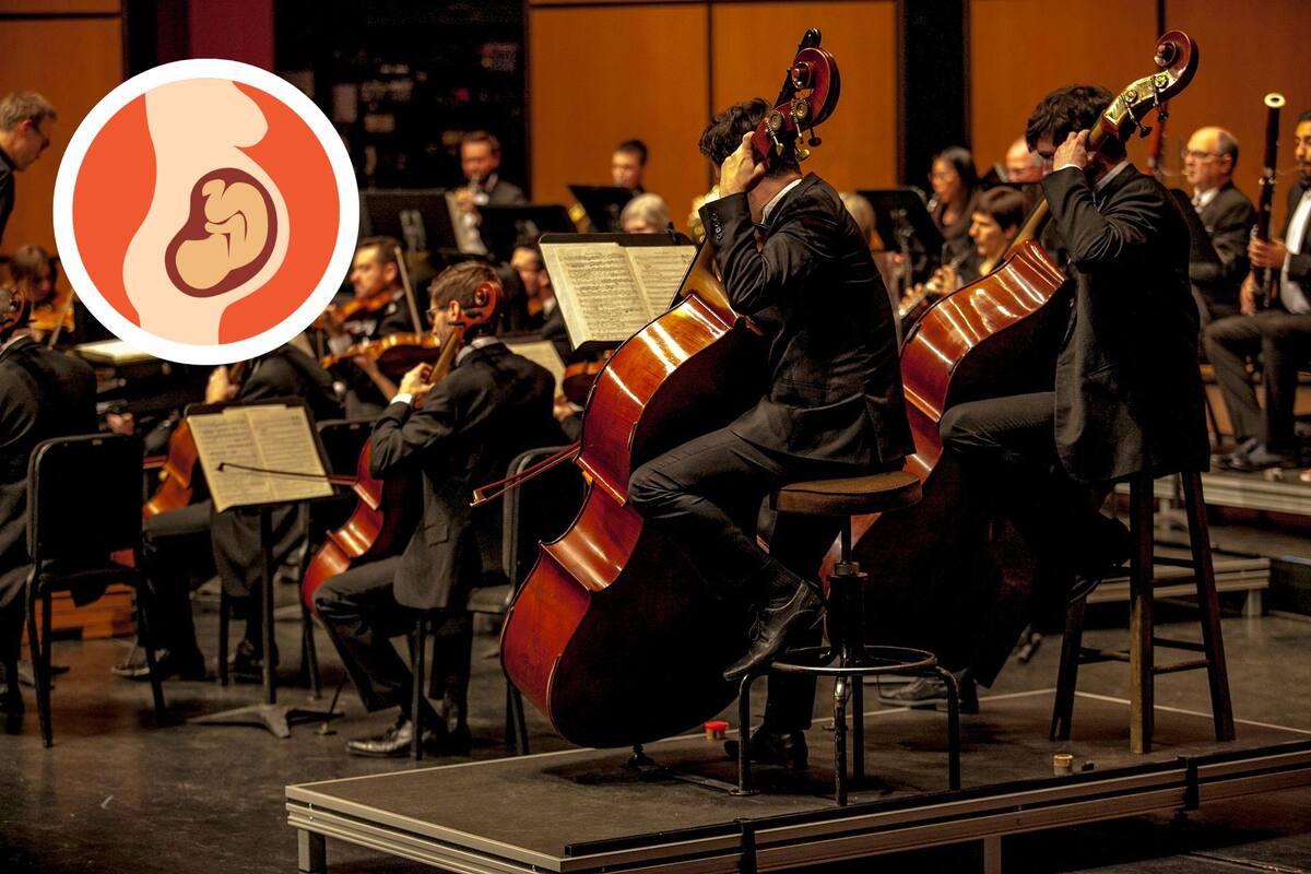 La música clásica estabiliza el ritmo cardíaco fetal y podría favorecer su desarrollo