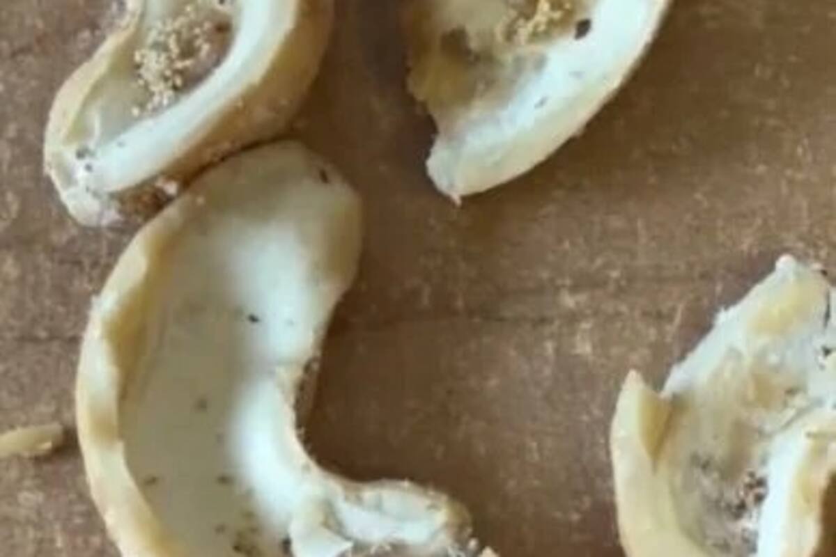 VIDEO: Mujer encuentra gusanos en bolsa de nueces de COSTCO