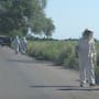 Atienden a 20 personas por ataque de abejas en el Valle del Yaqui