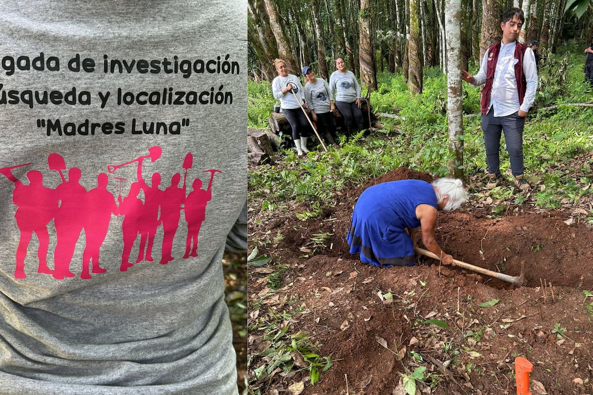¿Qué necesitan las familias buscadoras en Veracruz? Madres Luna pide palas, varillas, cubetas y generadores para revisar 15 posibles fosas