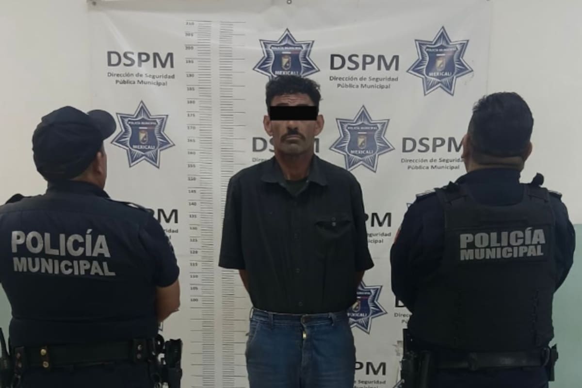 Presunto responsable de brutal asesinato de perrita en Hacienda de Castilla es detenido