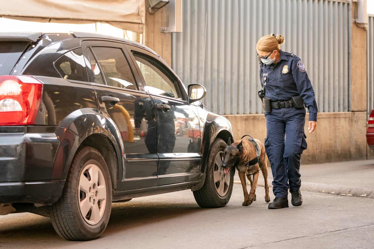 Fin de semana deja doble golpe al narcotráfico en garitas de Nogales