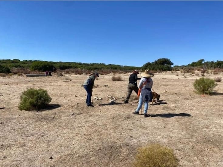 Colectivos anuncian brigada de Búsqueda en SLRC y Mexicali del 12 al 14 de diciembre