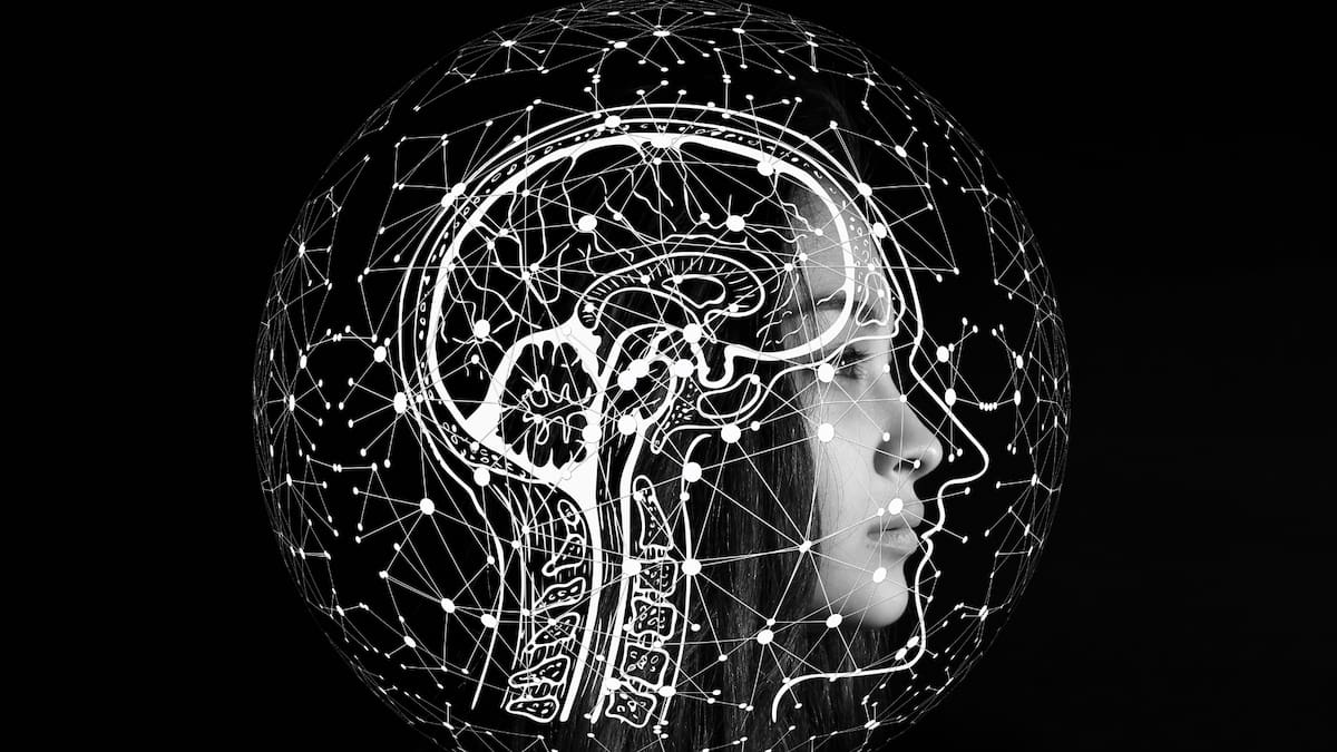 El hipocampo es una estructura cerebral con forma de caballito de mar. Permite al cerebro integrar experiencias pasadas con el entorno actual para interpretar lo que ocurre alrededor.