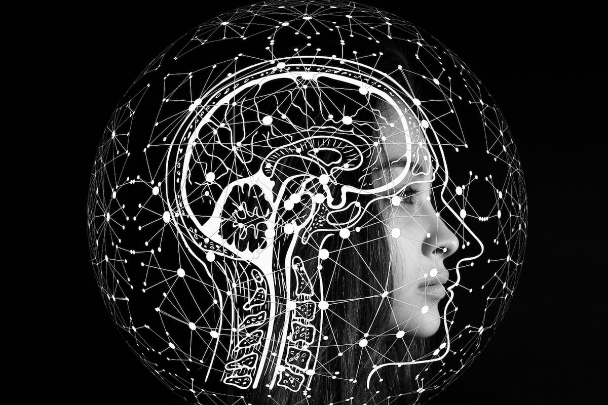 Cómo cambia el cerebro humano a lo largo de la vida: cinco etapas clave según la ciencia