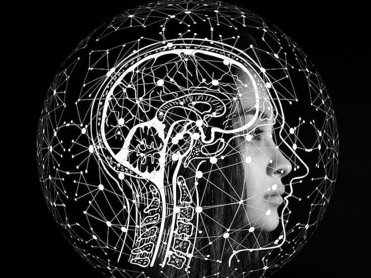 Cómo cambia el cerebro humano a lo largo de la vida: cinco etapas clave según la ciencia