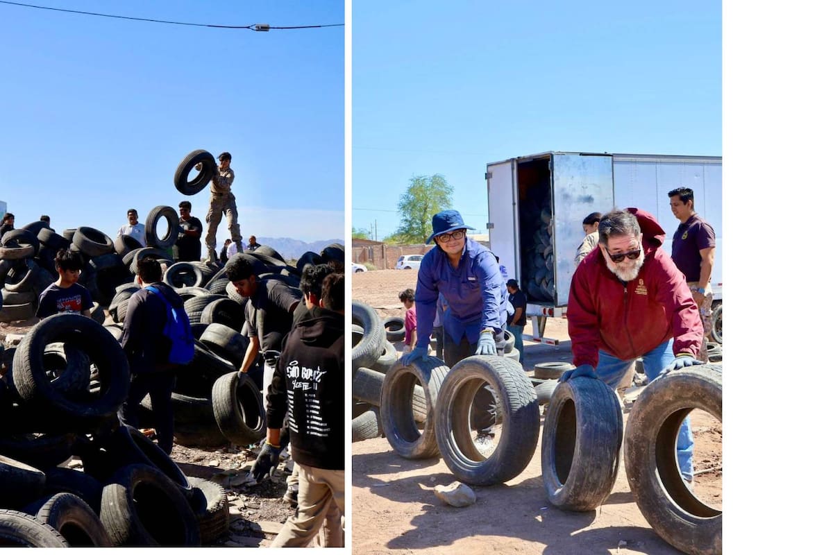 Retiran más de mil 300 llantas de tiradero clandestino en Mexicali; buscan frenar riesgos de dengue y contaminación