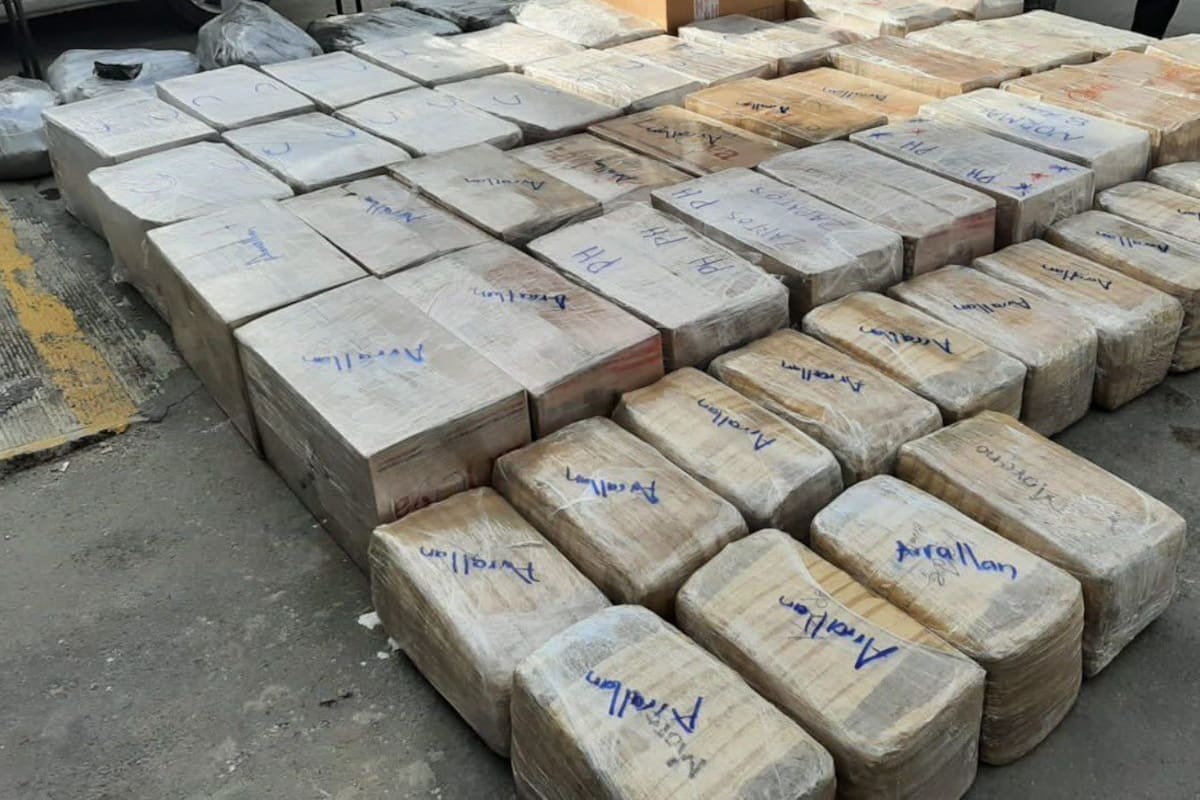 FGR asegura cerca de media tonelada de mariguana en Nuevo León