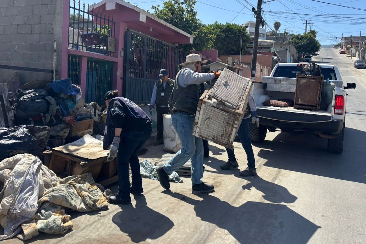 Refuerzan jornadas de limpieza en colonias de Ensenada por riesgo de rickettsiosis