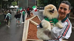 México vs Ecuador: Afición toma las calles de la CDMX previo a dieciseisavos del Mundial