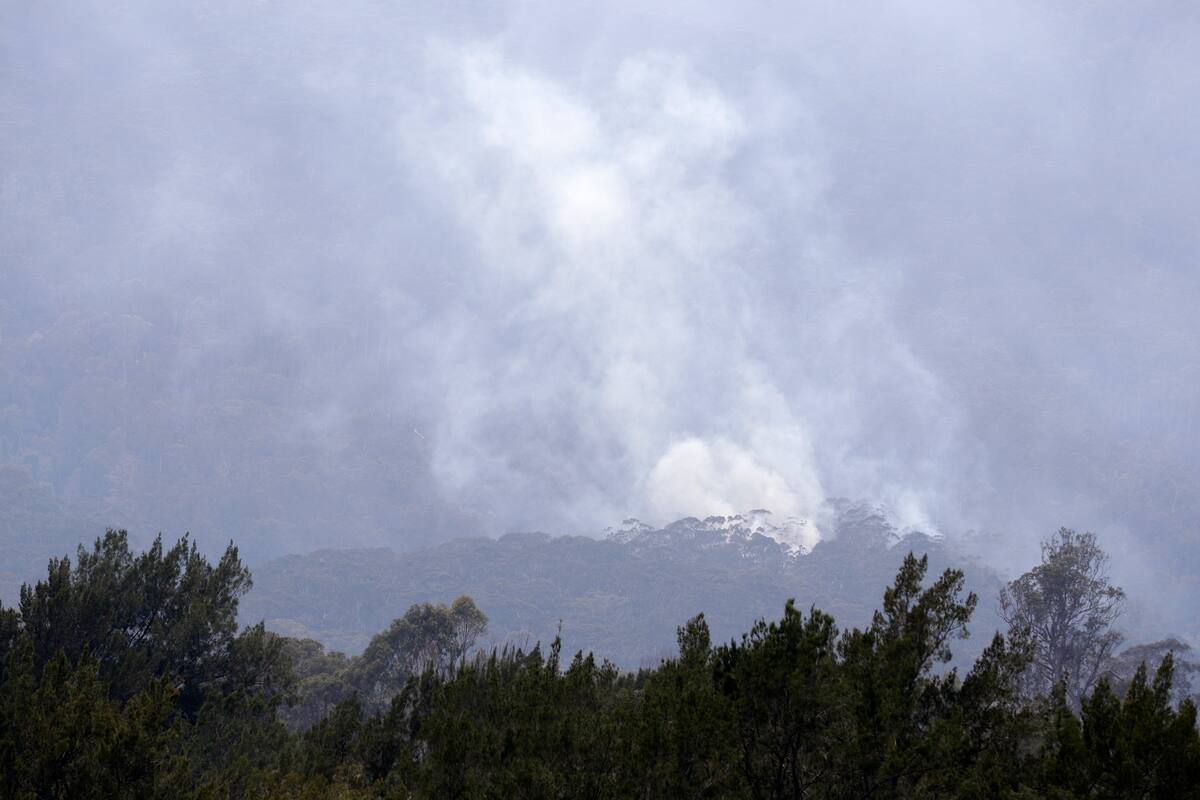 Incendios afectan desarrollo del Australian Open