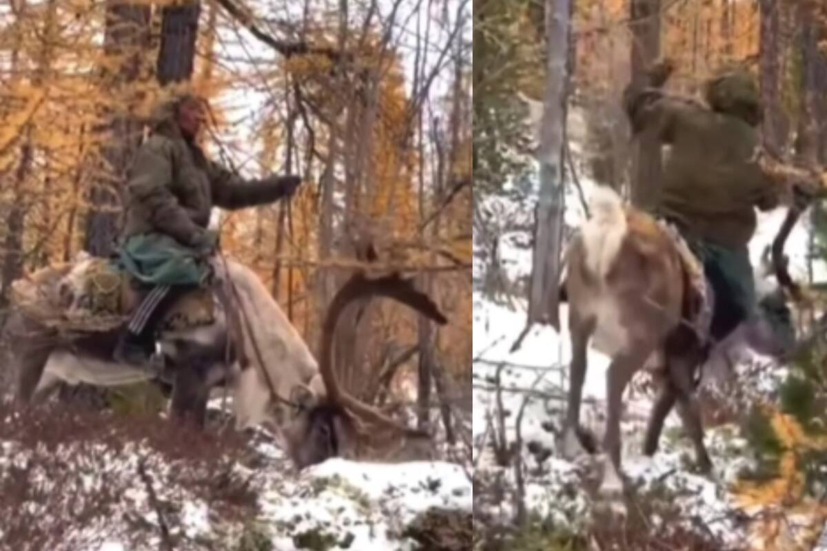 Integrante de los Dukha, una de las últimas tribus pastoriles de renos, es captado montando uno de estos majestuosos animales
