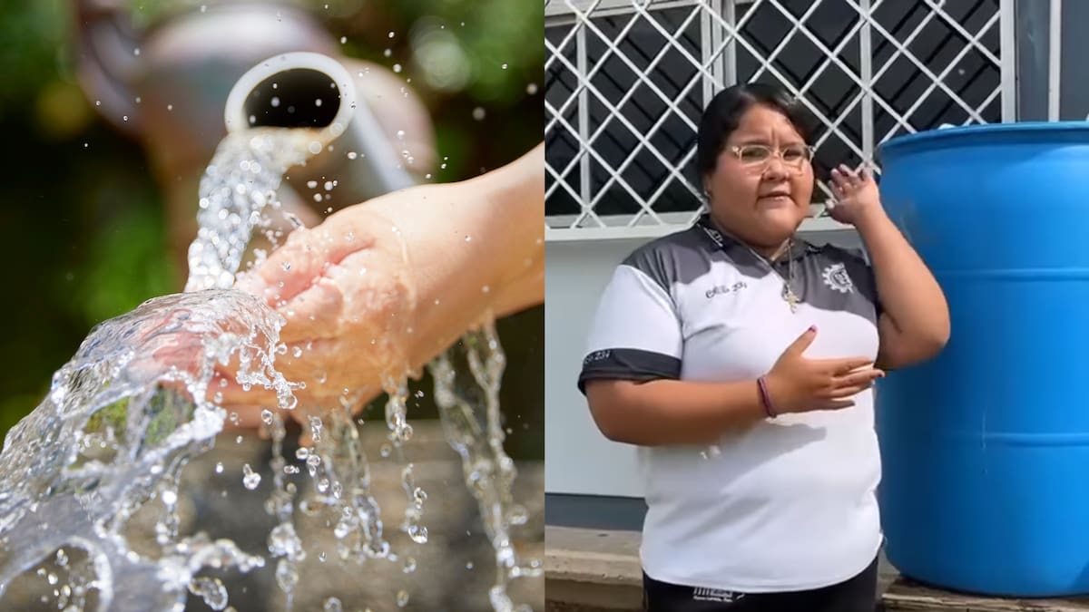 Un aire acondicionado puede tirar hasta 20 litros de agua al día y una estudiante de Nuevo Laredo encontró la forma de usarlos para producir alimentos con un sistema que cualquier familia puede replicar en casa