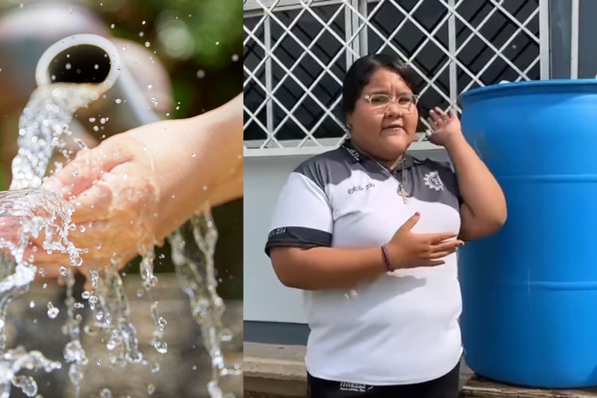 Un aire acondicionado puede tirar hasta 20 litros de agua al día y una estudiante de Nuevo Laredo encontró la forma de usarlos para producir alimentos con un sistema que cualquier familia puede replicar en casa