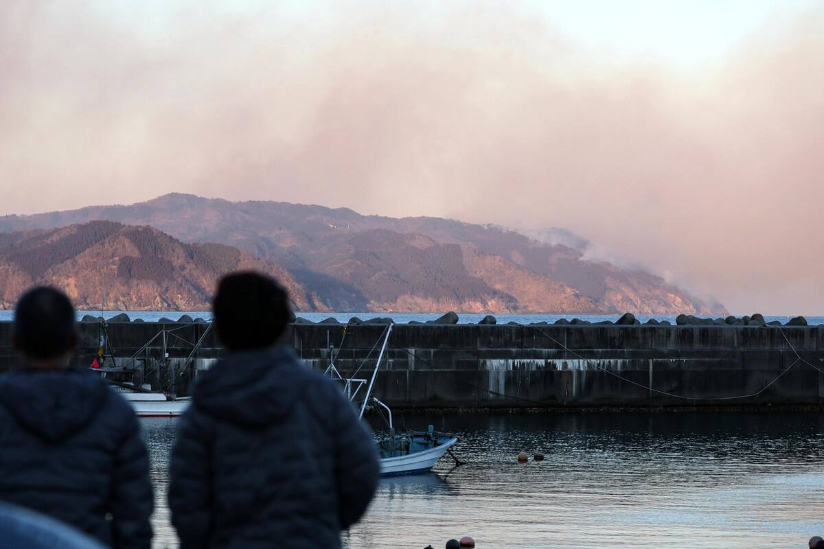 Incendios forestales en Japón