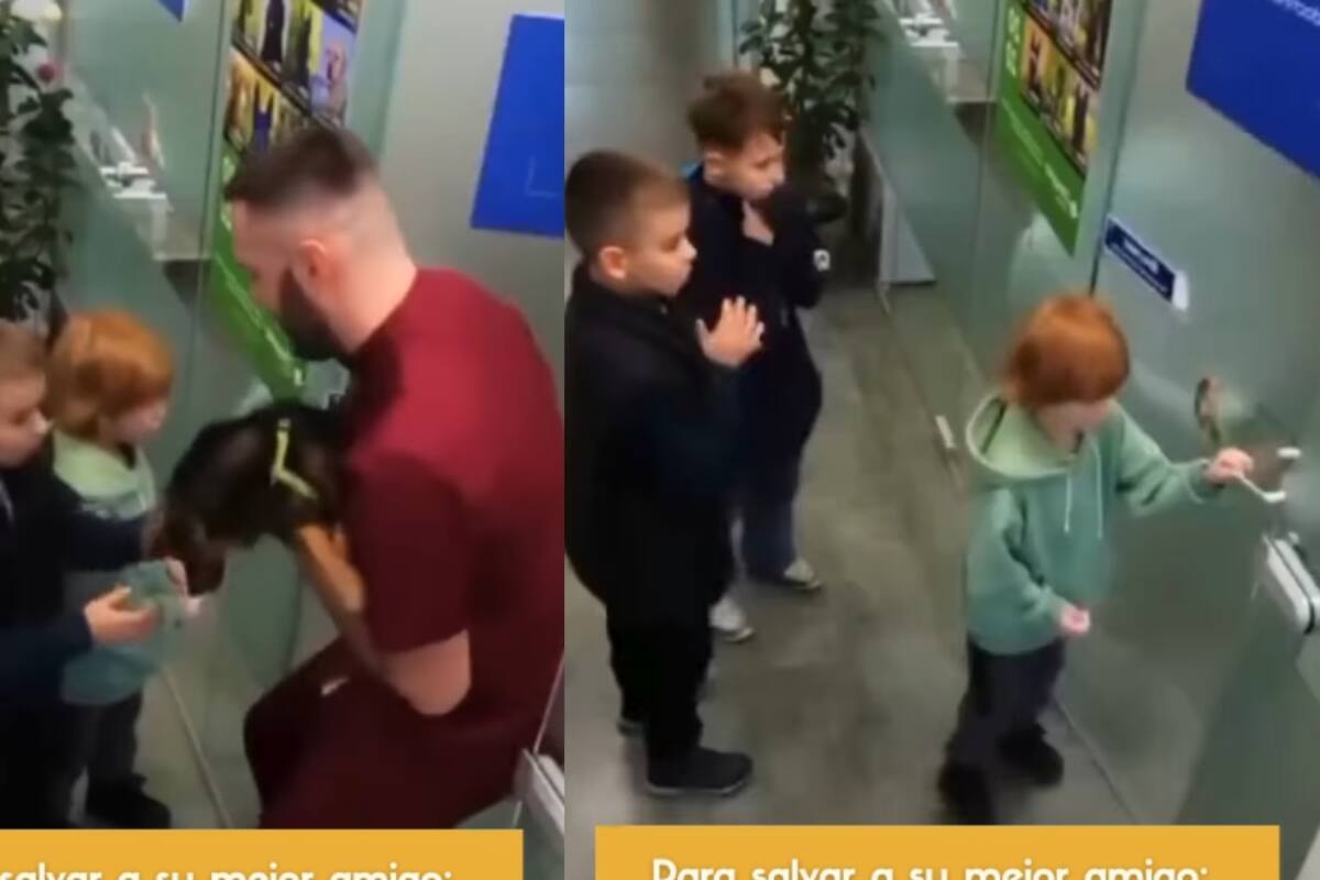 “Ellos querían salvar a su mejor amigo”: 3 niños se vuelven virales al llegar al veterinario con su mascota en brazos