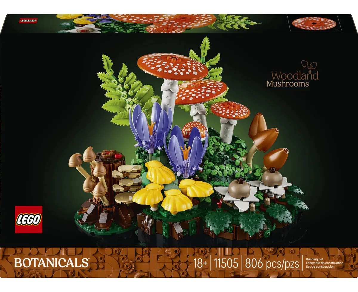 Set Hongos del Bosque | Mercado Libre