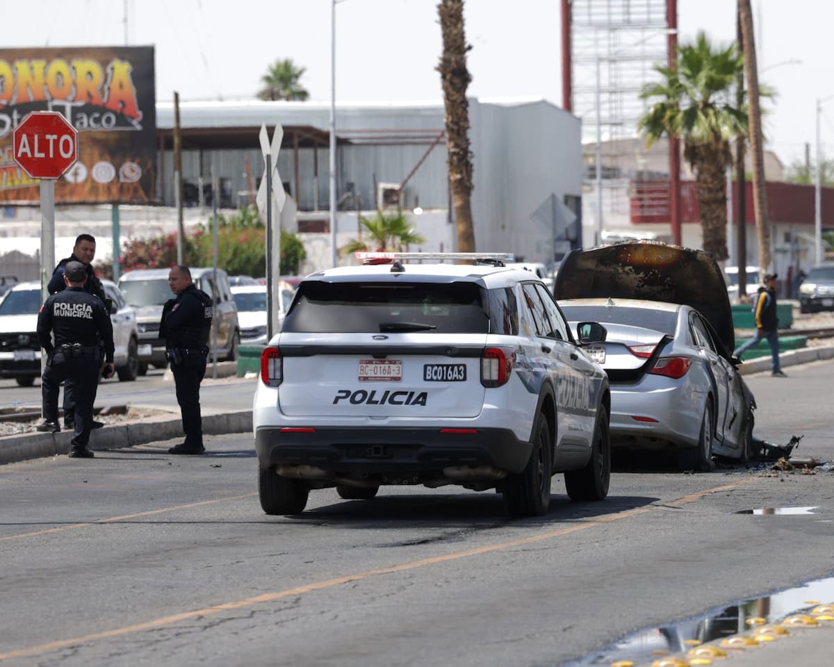 Foto: Javier Gallegos