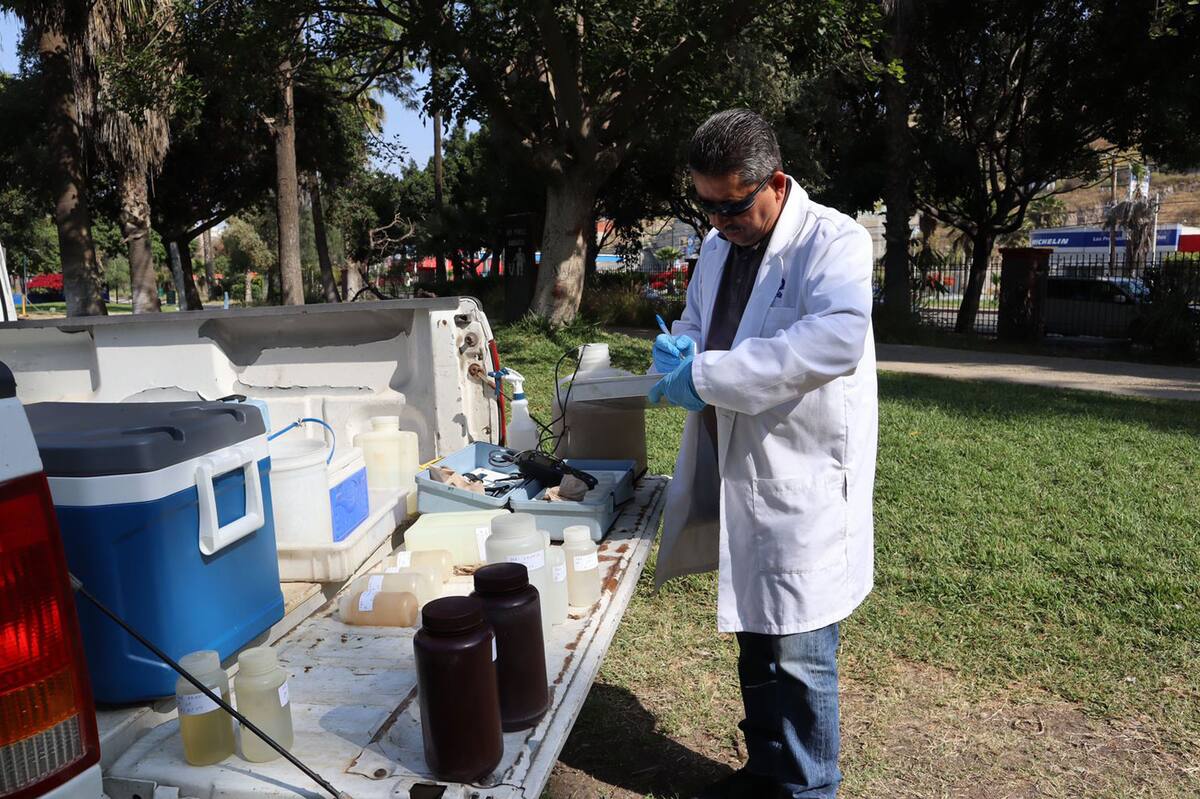 Derivado de los resultados, se determinó reducir el nivel de agua en el lago del Parque Morelos, aproximadamente a una cuarta parte de su capacidad.