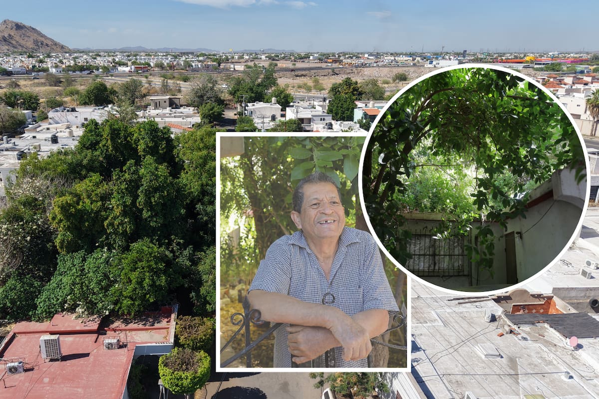 Enrique, vecino de Fuentes del Mezquital, creó su propio “bosque encantado” dentro de Hermosillo