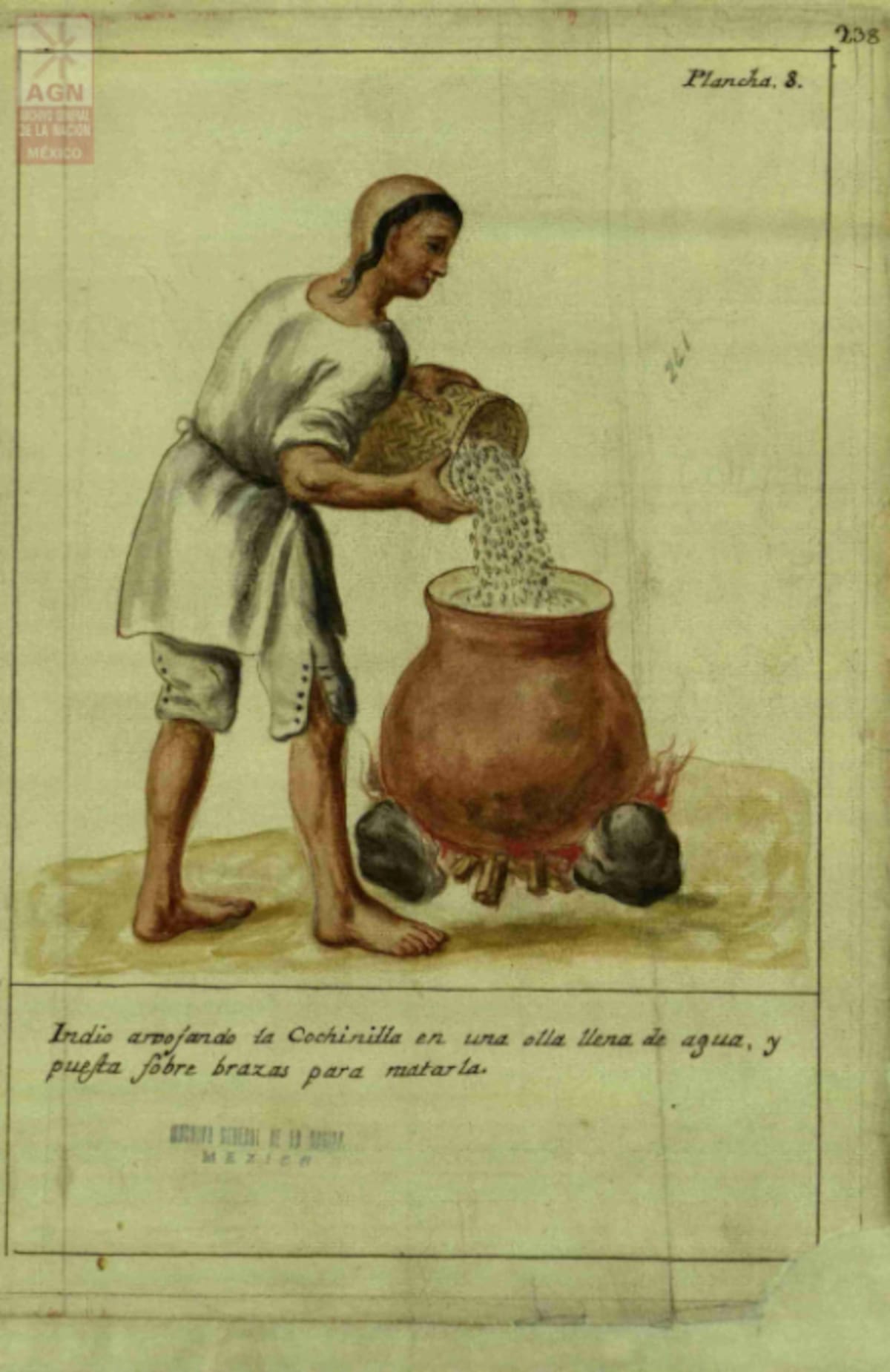 Los esquemas históricos documentan el proceso de cultivo de la grana cochinilla sobre los nopales, una práctica desarrollada por los pueblos indígenas que permitió obtener el pigmento rojo y consolidar su importancia económica durante el virreinato. Foto: Archivo General de la Nación (AGN).