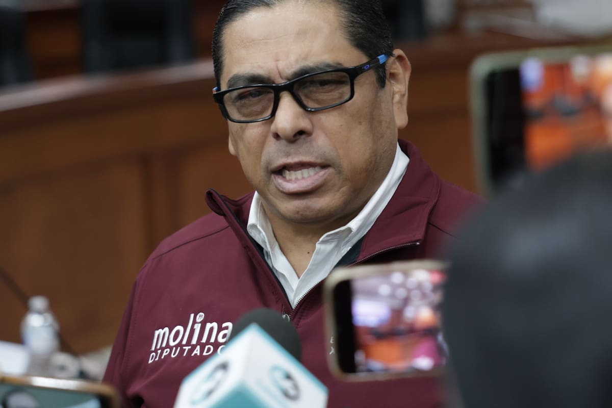 “Era absurdo e irracional”: Molina celebra revocación de recursos al PES