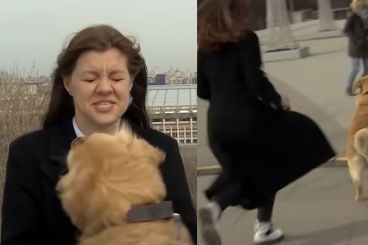 Perro roba micrófono a reportera en vivo y ella lo persigue, se hace viral